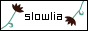 slowlia